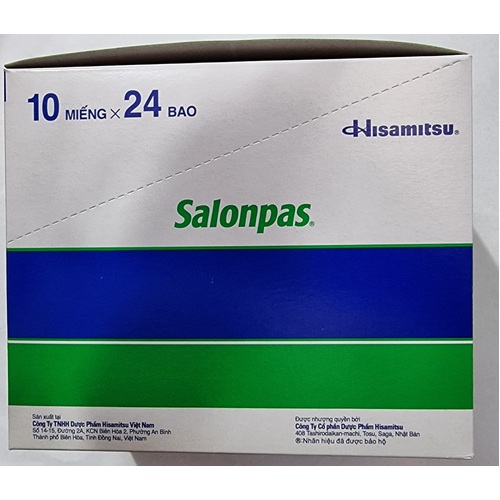 Hisamitsu Pain Relieving Salonpas Patch 240 Patches Made In Vietnam