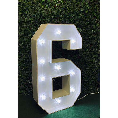 Light Up LED Number Light No 6