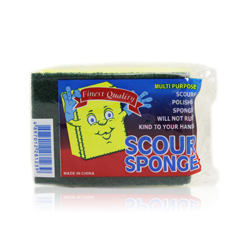 Scour Sponge Small