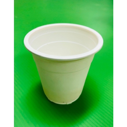 6oz Biodegradable Cup 25pk
